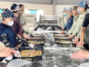 Lichi Fresco Orgánico Premium de Vietnam con Cadena de Frío Confiable y Gran Volumen de Suministro - Product Image 6