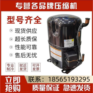 คอมเพรสเซอร์ทำความเย็น HYZL รุ่น CRNQ-0300-PFJ-522 สำหรับอุปกรณ์ทำความเย็นและห้องเย็น - Product Image 4