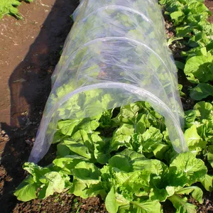 Poly transparent mit Loch Easy Grow Tunnel Hinterhof Mini Gewächs häuser Garten Low Tunnel Gewächshaus Wintergarten