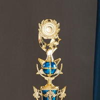 Fabricación de Trofeos de Plástico Personalizados con Logotipo, Universales, de Alta Calidad, Talla L, Modelo SZ01, a Precio Económico