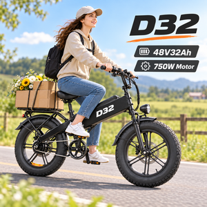 จักรยานไฟฟ้า D32 ยางอ้วน 750W มอเตอร์เกียร์ 48V32Ah ระยะทาง 128 กม. จัดส่งแบบกำหนดเอง OEM - Product Image 1