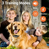 1000M Ferngesteuertes Hundetrainingshalsband 3 Trainingsmodi Wiederaufladbar USB IP67 Wasserdicht Vibration Elektroschock gegen Bellen