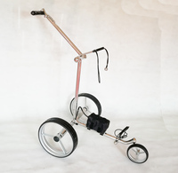 Chariot de golf électrique pliable léger, chariot à assistance électrique pour hommes sur terrain extérieur