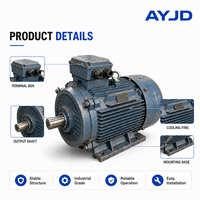 Moteur électrique asynchrone d'occasion 185 kW triphasé 4 pôles 1500 tr/min, résistant aux chocs, pour entraînement principal de concasseur, usage minier
