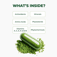 Capsules de poudre de feuilles de Moringa 100 % pure 500 mg, marque privée OEM, supplément antioxydant pour l'énergie et la santé immunitaire des articulations, vente en gros
