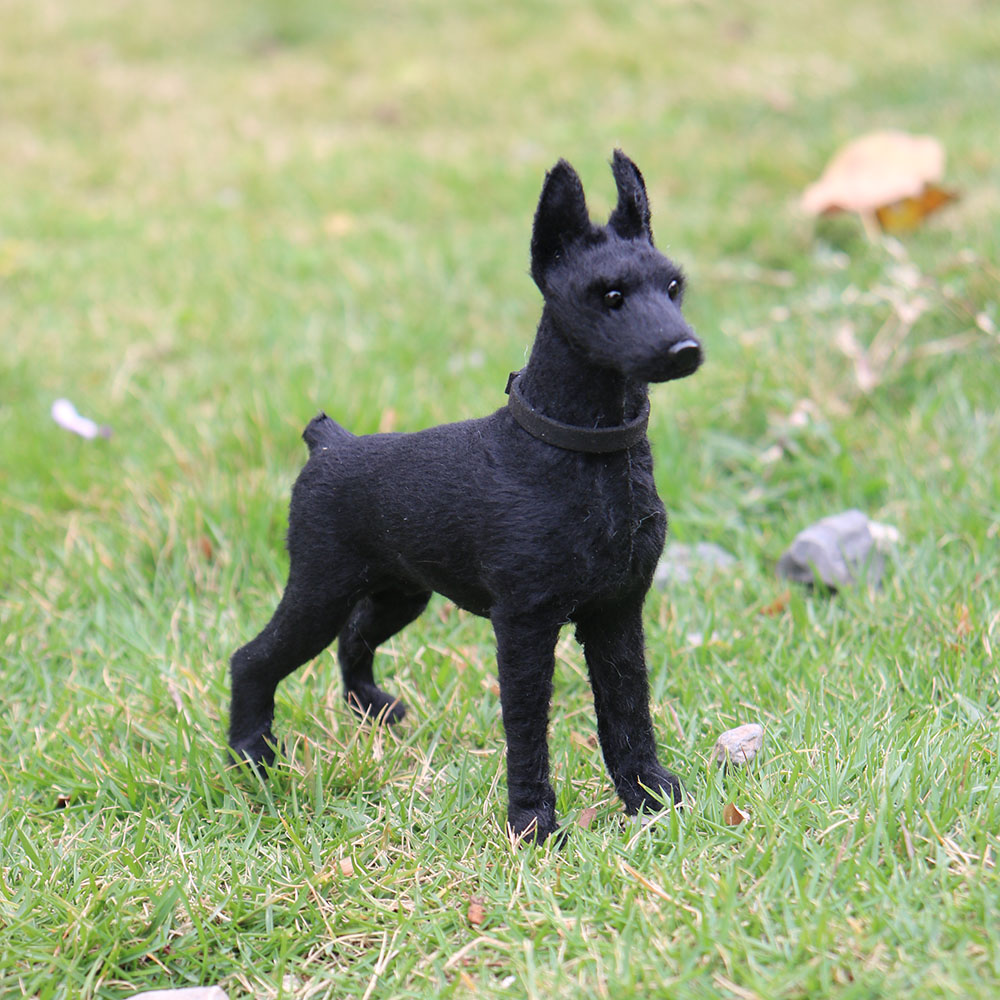 Doberman negro