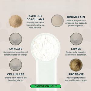 Golosinas Masticables de Vitamina D y Calcio de Marca Privada ODM/OEM para Perros y Gatos con Digestión Sensible - Buenas para la Salud Intestinal - Product Image 3