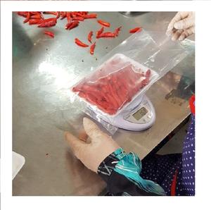 Pimiento Rojo LQF Congelado Entero de Vietnam, Súper Picante, de Invernadero, Precio Razonable para Venta al por Mayor - Product Image 5