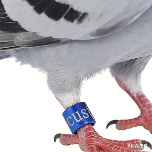 Bagues pour oiseaux en aluminium de haute qualité <span class=keywords><strong>2023</strong></span> en gros – Bagues de patte pour pigeons - Product Image 2