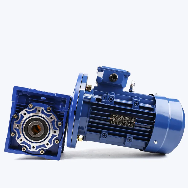 China fabricante 220V RV NMRV serie ac motor eléctrico gusano reductor de velocidad