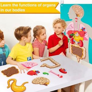Activités éducatives sensorielles pour tout-petits : Pièces du corps – Tableau en papier et feutre bleu pour l'apprentissage préscolaire, les arts et l'artisanat, utilisation à domicile ou à l'école - Product Image 4