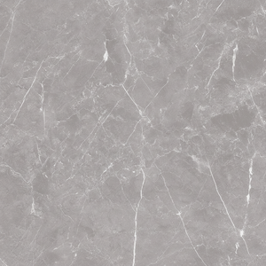 Carreaux de céramique polis brillants Modèle 1009-D 300x600mm - Product Image 1