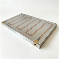 Radiateur de refroidissement LED haute puissance personnalisé en aluminium anodisé extrudé pour la Chine