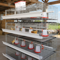 Nouvelle cage à poulets automatique en acier galvanisé de type H Linchuan Hebei, 3 à 8 niveaux, 80 kg, facile à nettoyer, durée de vie de 15 à 20 ans