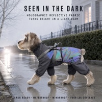 Imperméable holographique réfléchissant pour chien avec harnais intégré, couverture intégrale imperméable à quatre pattes pour petits et moyens chiens