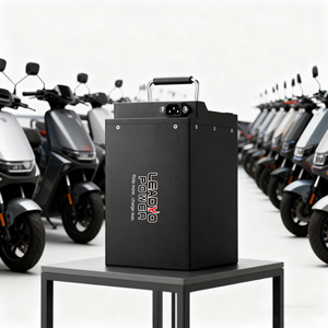 48V 60Ah Lifepo4 Batterie 51V 20Ah 25Ah 30Ah Lithium batterie für <span class=keywords><strong>2</strong></span>-Rad Trike Tuk-Tuk Auto Rikscha Elektrische Passagier Rikscha - Product Image 1
