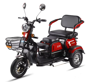 <span class=keywords><strong>จักรยาน</strong></span>สามล้อสำหรับผู้ใหญ่จักรยานไฟฟ้า<span class=keywords><strong>3</strong></span><span class=keywords><strong>ล้อ</strong></span>จัดส่งฟรีช่วยในประเทศจีน - Product Image 5