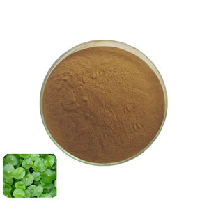 Bulk Centella Asiatica Extract Food Grade 10:1 Gotu Kola Extract Poeder - Product Image 2