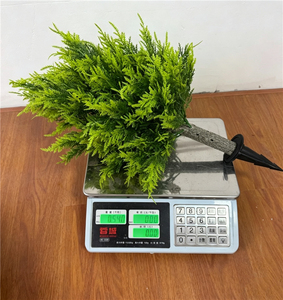 Branchelettes artificielles anti-décoloration en faux cyprès et eucalyptus, tiges de verdure artificielle pour ornement de cimetière, allée et cour - Product Image 1