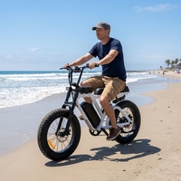 Vélo de plage rétro à prix de gros, vélo électrique vintage à pneus larges de 20 pouces, Fatbike sport vintage 750W