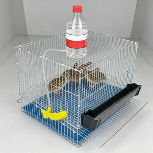 Enclos d'élevage conçu pour les cailles, les poulets rutins, les perdrix et les petits oiseaux exotiques avec plateau <span class=keywords><strong>de</strong></span> collecte des œufs - Product Image 2