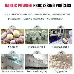 Allergen Free Dehydrated Garlic Powder Various Mesh Size Available Garlic Granules Minced Garlic
