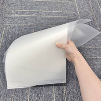Feuilles et rouleaux de film PET transparent mat double face pour transfert thermique DTF, format A4, A3, A3+, SD30-12, de la marque Original Plant Supply