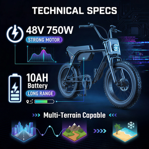 Vélo Électrique ZUMI 750W à Pneus Larges, <span class=keywords><strong>20</strong></span> Pouces, Cadre Bas, 48V, Disponible en Stock aux États-Unis, en Europe et au <span class=keywords><strong>Brésil</strong></span>, Livraison Locale Rapide, Fabrication OEM ODM - Product Image 2