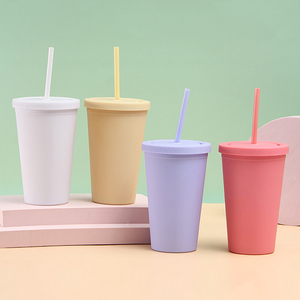 Wholesale Leak-proof Double Wall 16oz 24oz Plastic Water <b>Bottle</b> with Straw for Car Travel Gym Camping Office School - Product Image 2