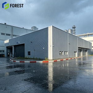 Estructura de Acero Prefabricada de Alta Resistencia para Depósito Logístico, Instalación de Carga de Gran Capacidad, Lista para Instalar Grúas - Product Image 1