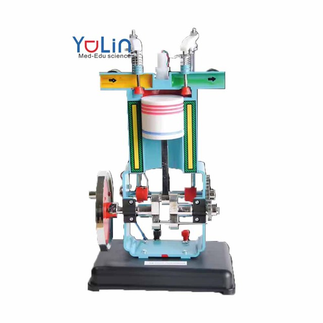 Physics Laboratory Educational Equipment Gasoline Engine Model for School Gasoline Engine Model for School Gasoline Engine Model