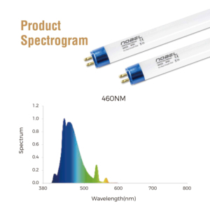 Lampe fluorescente en verre <span class=keywords><strong>T5</strong></span> de 54 W, 4 pieds, 460 nm, principes de fonctionnement CFL, lampes de culture <span class=keywords><strong>pour</strong></span> plantes d'intérieur - Product Image 2