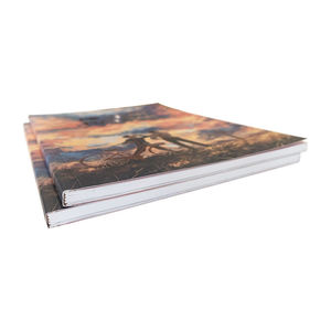 Impression de livres de bandes dessinées illustrés à couverture souple avec logo personnalisé de haute qualité - Product Image 5
