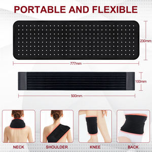 SWIDA SD-T240 Couverture en plastique personnalisée à LED infrarouges pour thérapie par la lumière <span class=keywords><strong>rouge</strong></span>, rechargeable, 660nm 850nm, pour le soin des douleurs corporelles des animaux de compagnie et des chevaux - Product Image 2