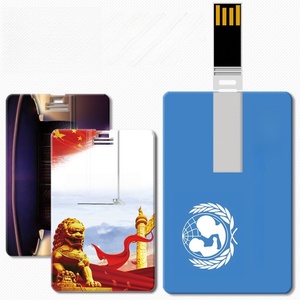 USB-флешка с логотипом на заказ, 1 ГБ, 2 ГБ, 4 ГБ, 8 ГБ, 32 ГБ, 64 ГБ, USB 2.0/3.0, пластиковая/металлическая, рекламная, в форме кредитной карты/визитки - Product Image 1