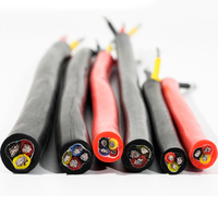 Kabel Silikon 2/3/4 Inti, Tembaga Berlapis Timah, -60 ℃ ~200 ℃   Kabel Kontrol Tahan Air, Fleksibel, Tahan Penuaan, dan Tahan Suhu Tinggi