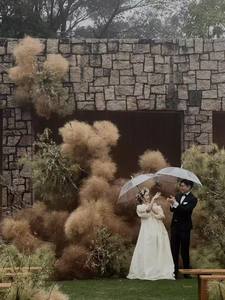 2025 Vente Chaude 20-30cm Préservé Tumbleweed Fleurs Séchées pour Table Basse Décoration Arrangements De Mariage Saint Valentin - Product Image 3