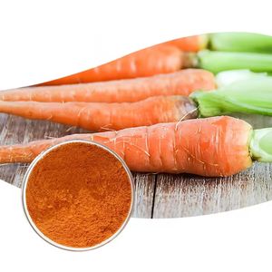 공장 공급 식품 등급 100% 순수 천연 당근 분말 카로틴 - Product Image 4
