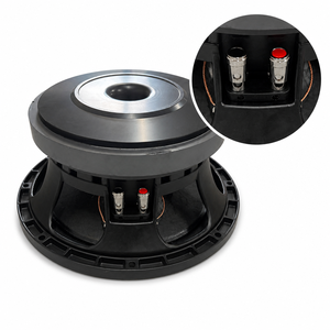 Fsounds Altavoz de Audio Profesional de 10 Pulgadas, Woofer de Medios y Bajos, Imán de Ferrita, 8 Ohmios, Marco de Aluminio Fundido, Pieza de Polo, DC 12-24V, OEM ODM - Product Image 1