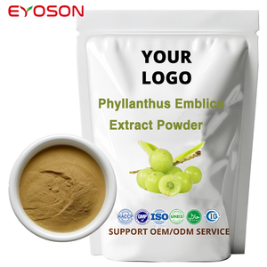 Vente en gros d'aliments biologiques 10:1 Phyllanthus Emblica extrait de fruit en poudre naturel <span class=keywords><strong>Amla</strong></span> poudre de jus pur naturel en vrac <span class=keywords><strong>Amla</strong></span> - Product Image 2