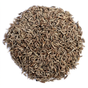 Organic Cumin Seeds-Ashutosh Enterprises 24 Months Shelf Life Ready-to-Use Store Airtight Container Wholesale Available Rajkot - Product Image 1