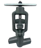 Vanne à soupape à haute pression en acier forgé durable DN10 DN20 DN25, type à souder bout à bout pour système de vapeur de centrale thermique