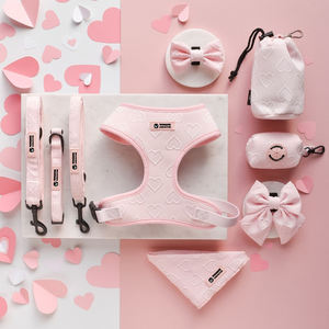 Kit de harnais de gilet de chiot en forme de coeur collier de chien avec laisse accessoires pour animaux de compagnie matériel personnalisé couleur marque LOGO harnais pour animaux de compagnie - Product Image 2