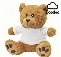 Teddybeer Kleding Gepersonaliseerd Beer Mascot Kostuum Op Maat Groothandel Ontwerp Superzacht Pluche PP Katoen Unisex Verjaardag Stress