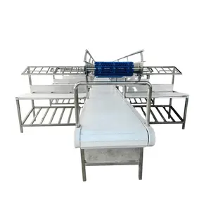 Customized Stainless Steel Meat Processing Cutting Line Conveyor New Production Equipment for Pig Sheep with Motor Bearing Gear