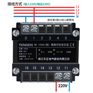 Tengen Isolation <b>Transformer</b> 100VA 220V Input Output For Electrical Equipment Protection - Product Image 1