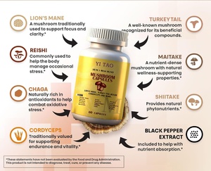 Natural Mushroom Complex Dietary Supplement <b>Powder</b> in Capsules OEM Private Label Customized Formula for <b>Energy</b> & Health - Product Image 2