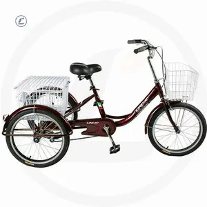 2023 Electric Tricycle for cargo hot selling brand awesome features long lasting tyres attractive look light weight