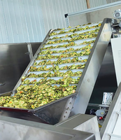 Séchage des chips de fruits séchés Ligne de production Séchoir à fruits avocat aubépine porc prune