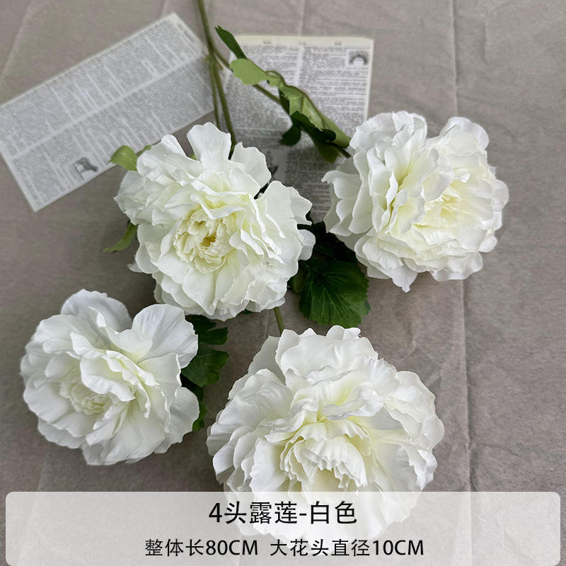 4ลูเลียน